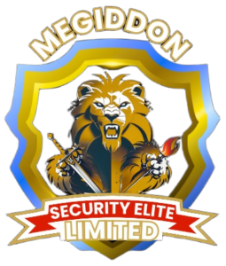 Megiddon Security logo